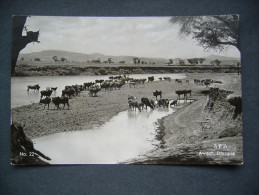 Ethiopia: The Awash River - Posted 1960s, Small Format - Ethiopie