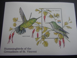 Grenadines Of St. Vincent-Birds - Specht- & Bartvögel