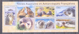 TAAF - FRENCH ANTARCTIC - Seals - MNH SOUVENIR SHEET - Unused Stamps