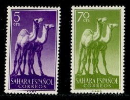 (cl.11 - P.33) Sahara Espagnol **  N° 120 - 123 (ref. Michel Au Dos) - Dromadaires - - Spanish Sahara