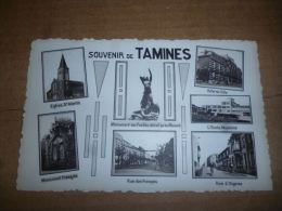 BC10-2-107 LC139 Souvenir De Tamines Multivues - Sambreville