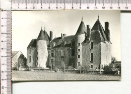 LOIGNY  LA   BATAILLE   -   Château  De  Villepion - Loigny
