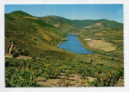 BRAGANÇA, DOURO - Aspeto Das Vinhas  (2 Scans) - Bragança