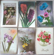 Lot 6 X Cp Photo Fleurs Jardin Rose Jacinthe Iris Myosotis Anemones Timbre Belgique - Verzamelingen & Kavels