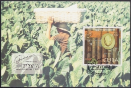 TMA-28 CUBA 2002. TARJETA MAXIMA FESTIVAL DEL HABANO TABACO TOBACCO. - Maximum Cards