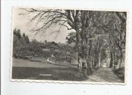 CHAUMONT 245 (BAZAR DE CHAUMONT (1177 M) FAMILLE BERNARD - Autres & Non Classés