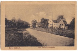 Berg. Glabach Partie Aus Dem Gronauerwald - Max Blegel Elberfeld No 9482 Sepia Postcard Unused - Bergisch Gladbach