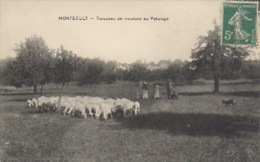 MONTSOULT Troupeau De Moutons Au Paturage - Montsoult