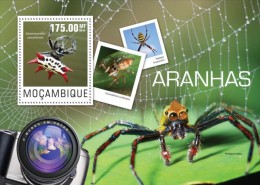 Mozambique. 2014 Spiders. (415b) - Spinnen