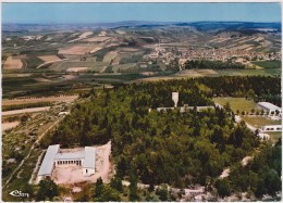 89 - SAINT BRIS LE VINEUX  Vue Générale Aérienne - Saint Bris Le Vineux