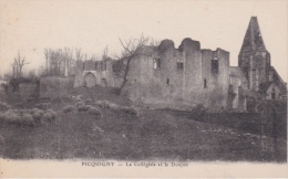 PICQUIGNY  (  80 )    - - LA  COLLÉGIALE  ET  LE  DONJON - Picquigny