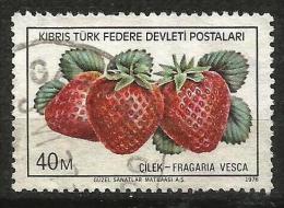 Turkish Cyprus 1976 - Mi. 31 O, Strawberry (Fragaria Vesca) | Fruits | Plants (Flora) - Gebraucht