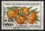 Turkish Cyprus 1979 - Mi. 66 O, Mandarin (Citrus Nobilis) | Fruits | Plants (Flora) | Overprint - Oblitérés