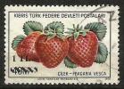 Turkish Cyprus 1979 - Mi. 67 O, Strawberry (Fragaria Vesca) | Fruits | Plants (Flora) | Overprint - Usati