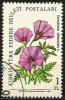 Turkish Cyprus 1981 - Mi. 101 O, Morning Glory ( Convolvulus Althaeoides) | Flowers - Oblitérés