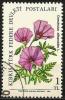 Turkish Cyprus 1981 - Mi. 101 O, Morning Glory ( Convolvulus Althaeoides) | Flowers - Gebraucht