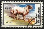 Turkish Cyprus 1985 - Mi. 164 O, Domestic Sheep (Ovis Ammon Aries) |  Animals (Fauna) | Mammals - Oblitérés
