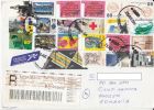 CAT, SHIP, FLOWERS, RED CROSS, INDUSTRY, BRIDGE, QUEEN BEATRIX, UNICEF, STAMPS ON REGISTERED COVER, 2010, NETHERLANDS - Cartas & Documentos