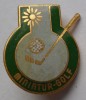 MINIATUR GOLF PINS BADGES  P - Golf