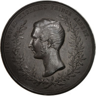 United Kingdom , Medal, Prince Albert, London Exhibition, Arts & Culture, 1851 - Sonstige & Ohne Zuordnung