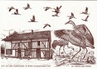 51 - Saint Remy En Bouzemont - Lac Du Der-Chantecoq - Ferme Aux Grues - Saint Remy En Bouzemont