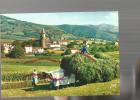 Cpm 644019 Ainhoa Village Type Du Pays Basque ( Boeufs Attelés) - Ainhoa