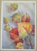 CP LITHO Illustrateur Signé JW J.W. Schwerdtfeger & Co Branche De  Feuilles Automne - Trees