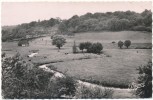 AUFFAY - Les Méandres De La Scie - Auffay