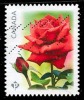 Canada (Scott No.2730 - Roses) (o) - Oblitérés