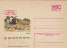 BIRDS, OSTRICHES, COVER STATIONERY, ENTIER POSTAL, 1975, RUSSIA - Straussen- Und Laufvögel