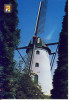 Gierle Molen - Lille