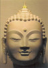 BOUDDHISME   VOIR VERSO DE LA CARTE - Bouddhisme