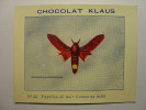 IMAGE CHROMO CHOCOLAT KLAUS - N°35 - PAPILLON DE NUIT GONOMITA MALE - 9cm X 7cm - Butterfly - Altri & Non Classificati