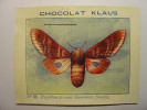 IMAGE CHROMO CHOCOLAT KLAUS - N°36 - PAPILLON DE NUIT GONOMITA FEMELLE - 9cm X 7cm - Butterfly - Altri & Non Classificati