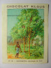 IMAGE CHROMO CHOCOLAT KLAUS - N°26 - QUINQUINA (AMERIQUE DU SUD) - 7cm X 9cm - QUININE ARBRE TREE - Autres & Non Classés