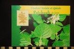 PLANTES , Chaleur Boisée Et épicée,  PATCHOULI DE JAVA  Carte Publicité Yves Rocher - Piante Medicinali