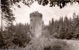 3493 NIEHEIM, Holster Turm, 1962 - Hoexter
