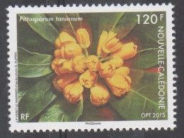 Nelle CALEDONIE - Flore - Fleur : Pittosporum Tanianum - Famille Des Pittosporaceae - - Unused Stamps