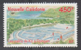 Nelle CALEDONIE - Sel - Les Salins De Kô à Poingam : Vue Aérienne - Alimentation- - Ungebraucht