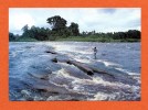 Gabon - Pêche Au Filet - Rapides De Loa-loa (Ivindo) - Gabón