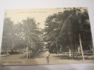 CPA TOGO LOME AVENUE ALBERT SARRAUT 1905 - Togo