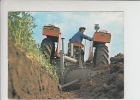 IMT YUGOSLAVIE Tracteur Circ. CARTE PHOTO (008) Tractor - Tractors