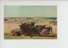 Tatra Combine Non Circ. CARTE PHOTO (011) - Tracteurs