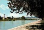 AGEN VUE SUR LA GARONNE ET LES PONTS - Agen