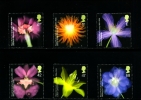 GREAT BRITAIN - 2004  ROYAL HORTICULTURAL SOCIETY SET  MINT NH - Unused Stamps
