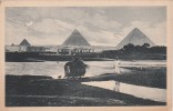 Egypte - Pyramids Of Giza  - Scan  Recto-verso - Guiza