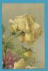 CPA 632 Fantaisie Fleur Roses  Illustrateur Catharina KLEIN - Klein, Catharina