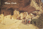 Estados Unidos--Colorado--Mesa Verde--National Park--Near Corez - Mesa Verde