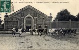 77 - NOISIEL - La Ferme Modèle - Le Retour Des Champs - (vaches) - Noisiel