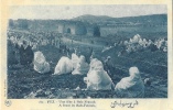 Fez - Une Fête à Bab-Fetouh - Photo Flandrin - Carte N°180 Non Circulée - Fez (Fès)